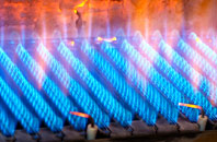 Twyning gas fired boilers
